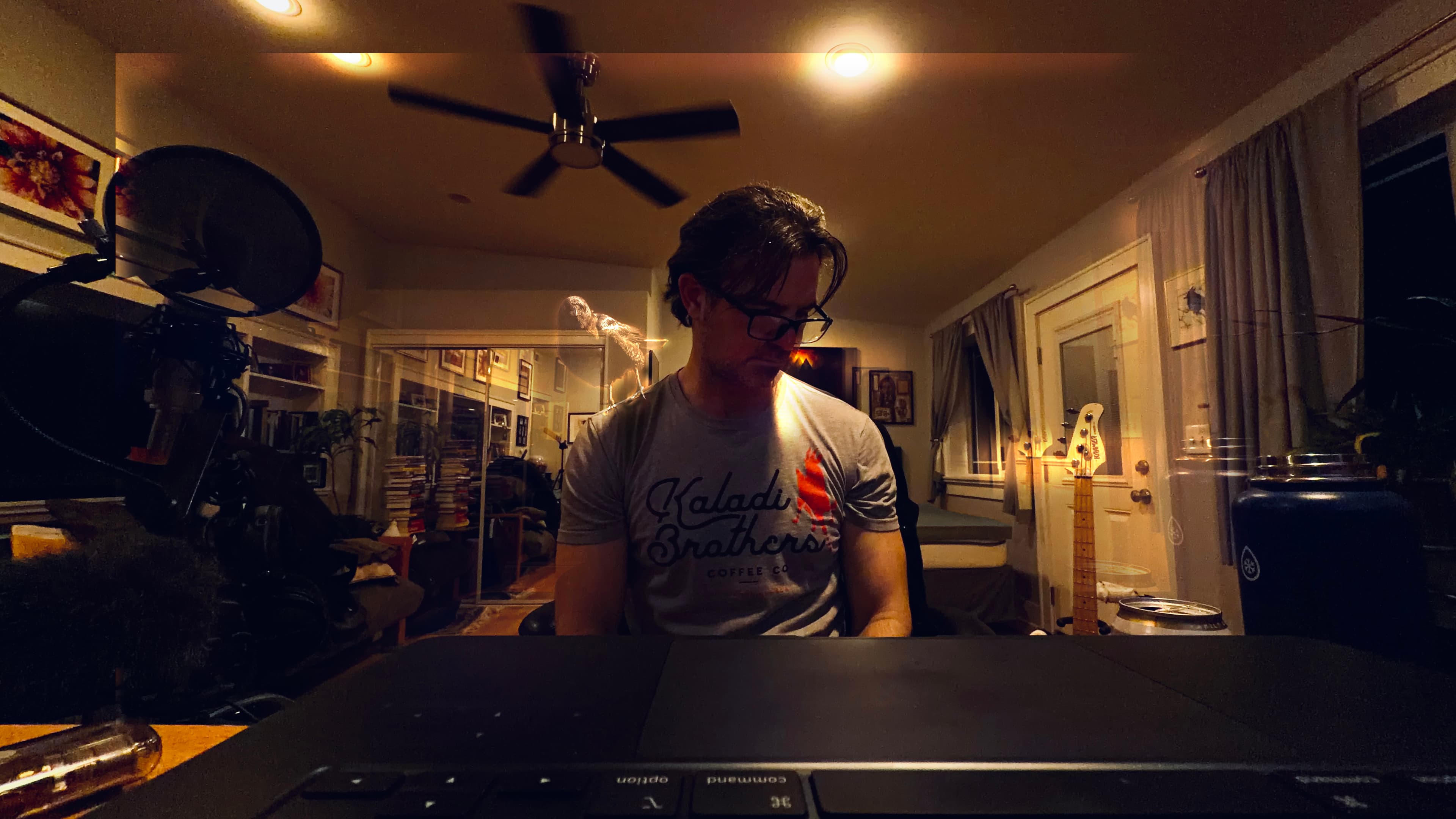 Zero State Reflex — Studio